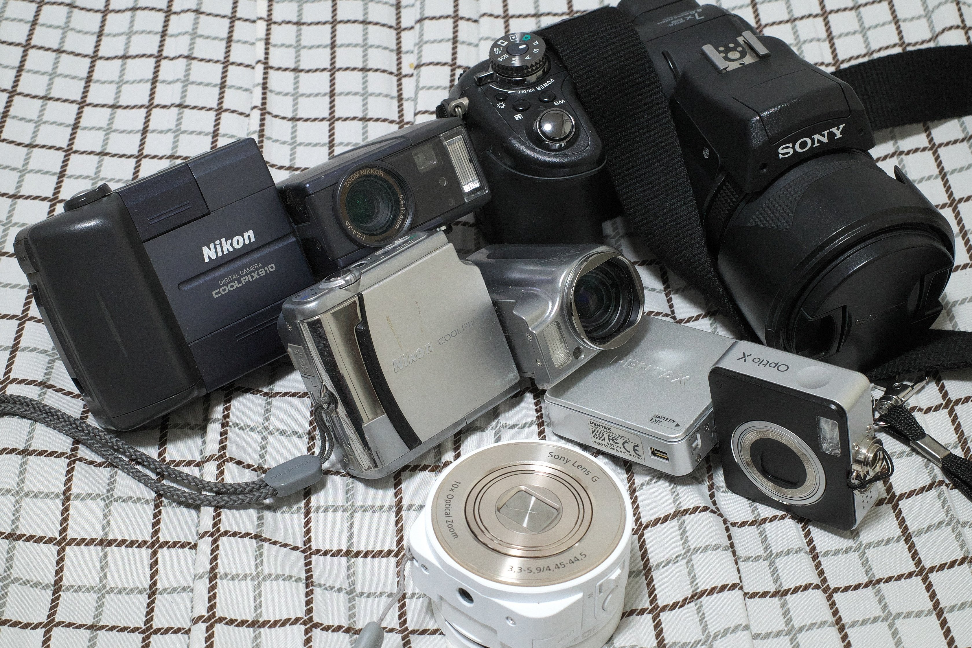 スイバルに会うも他生の縁 (PENTAX Optio X)|夢望庵 / Mubou-an スイバルに会うも他生の縁 (PENTAX Optio X)|夢望庵 / Mubou-an