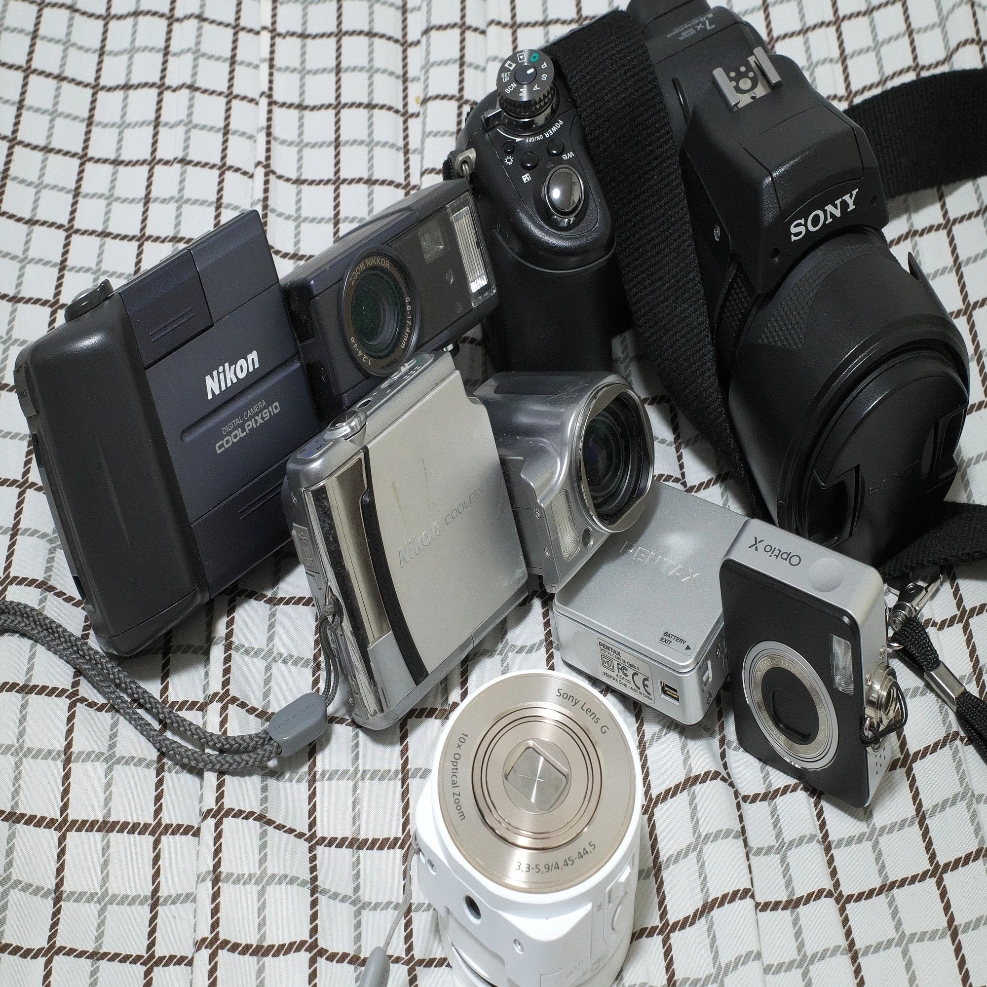 スイバルに会うも他生の縁 (PENTAX Optio X)｜夢望庵 / Mubou-an