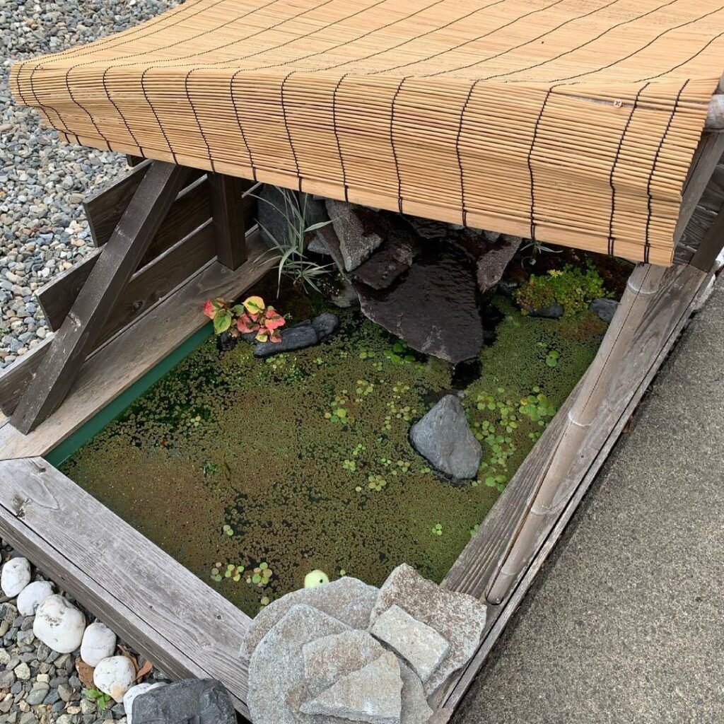 DIYで庭に小さな池を作る！水の音に癒される空間にしませんか