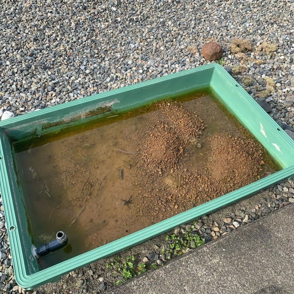 DIYで庭に小さな池を作る！水の音に癒される空間にしませんか？｜揖斐川庭石センター