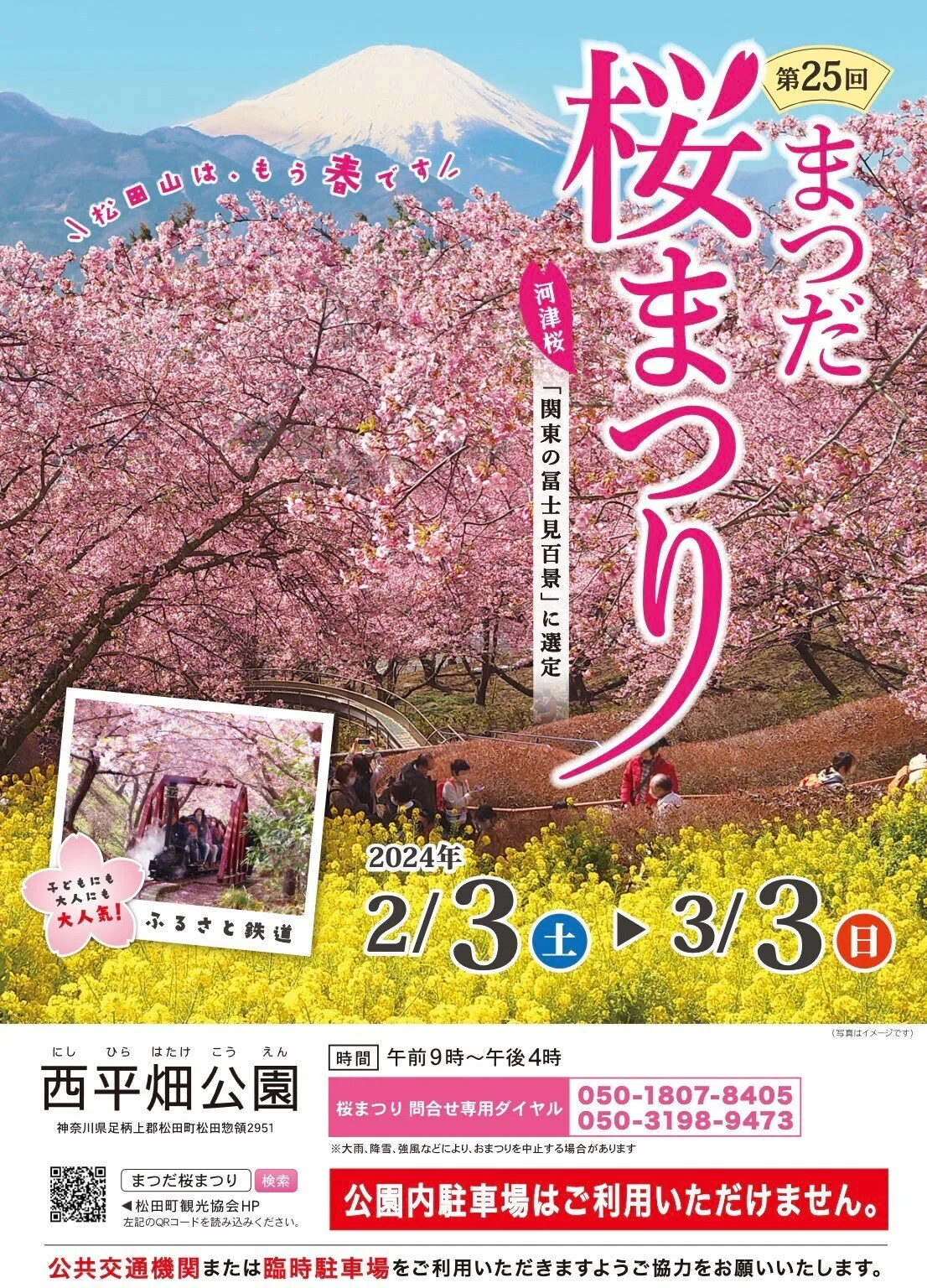 今日はあの山へ#17｜冬のお花見その3 神奈川県 松田町 西平畑公園(松田