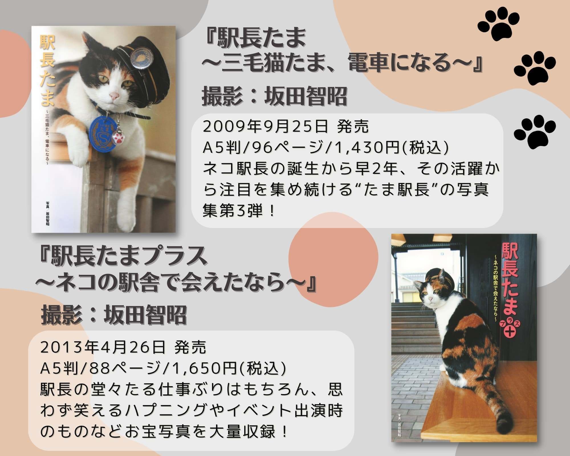 2月22日は猫の日！ 猫と本をこよなく愛するひとに「ホーム社猫祭 2024