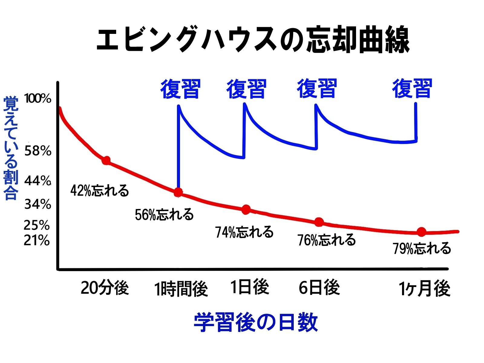 ぼくたち118回入校組│医師国家試験対策体験記｜てらやみ＠研修医