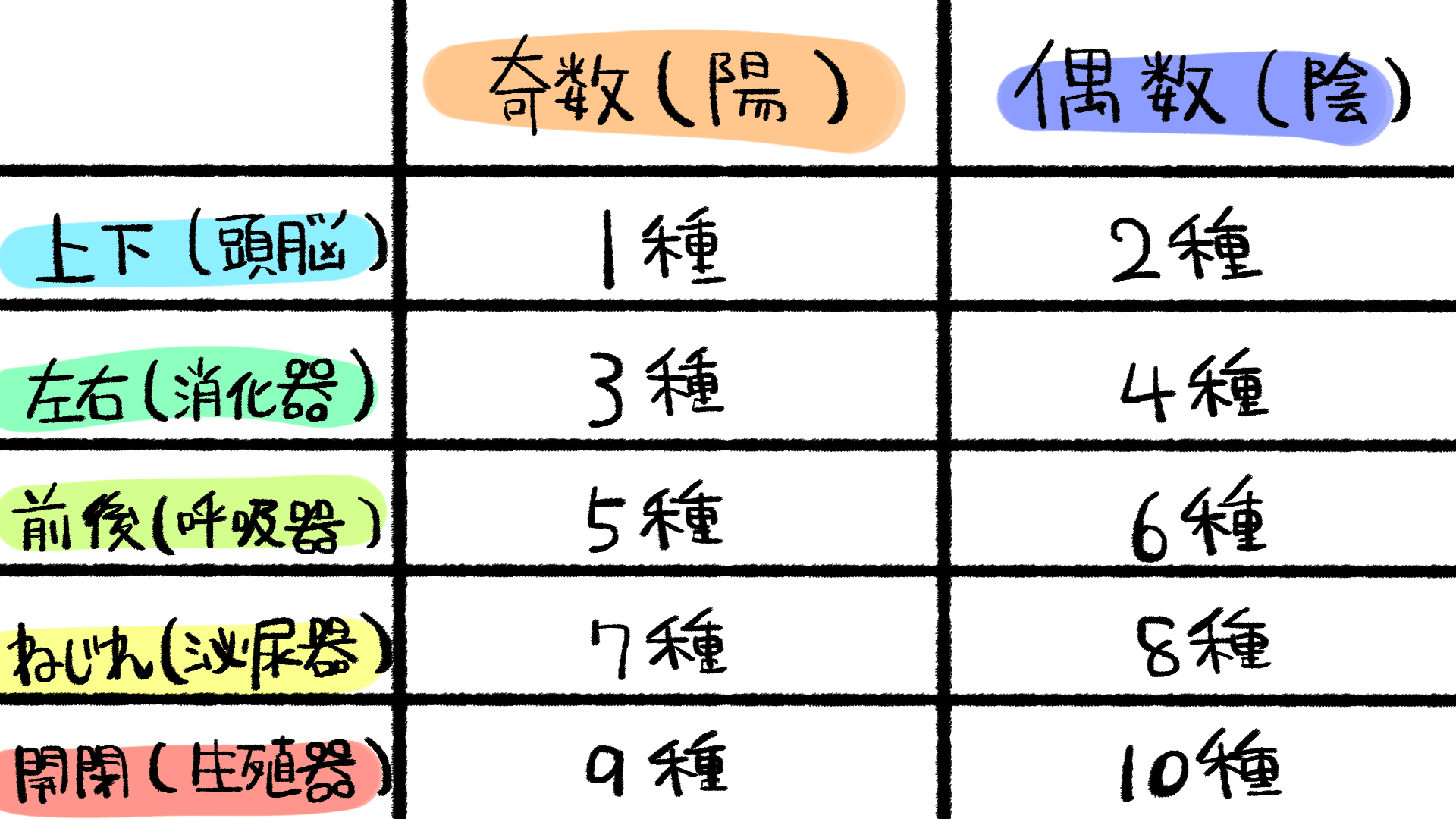 体癖論がすげー好きって話しましたっけ？？｜るーこ