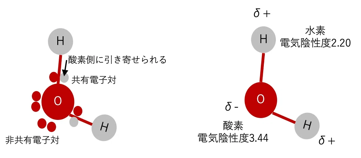 Off Flavor入門〜④分子の形と極性|Shiro Yamada