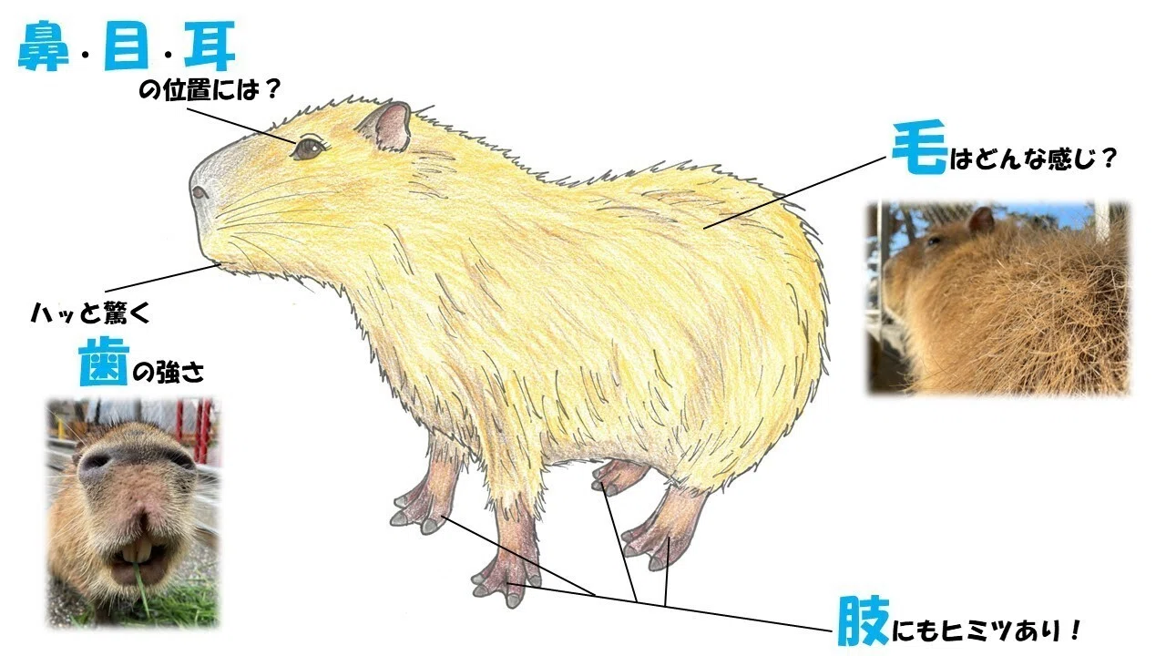 あなたはどうしてこの場所に？｜桂浜水族館 公式