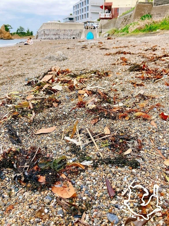 岩場で拾える貝殻とちっちゃなシーグラスと陶片！立石海岸で