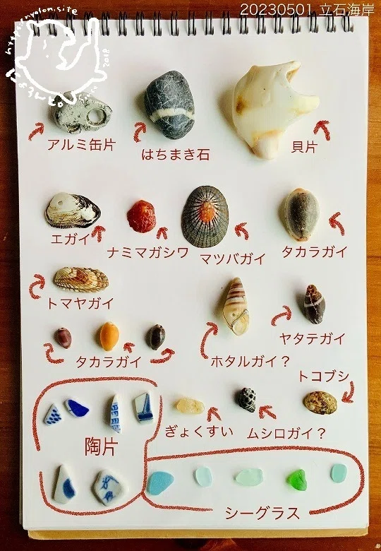 岩場で拾える貝殻とちっちゃなシーグラスと陶片！立石海岸で