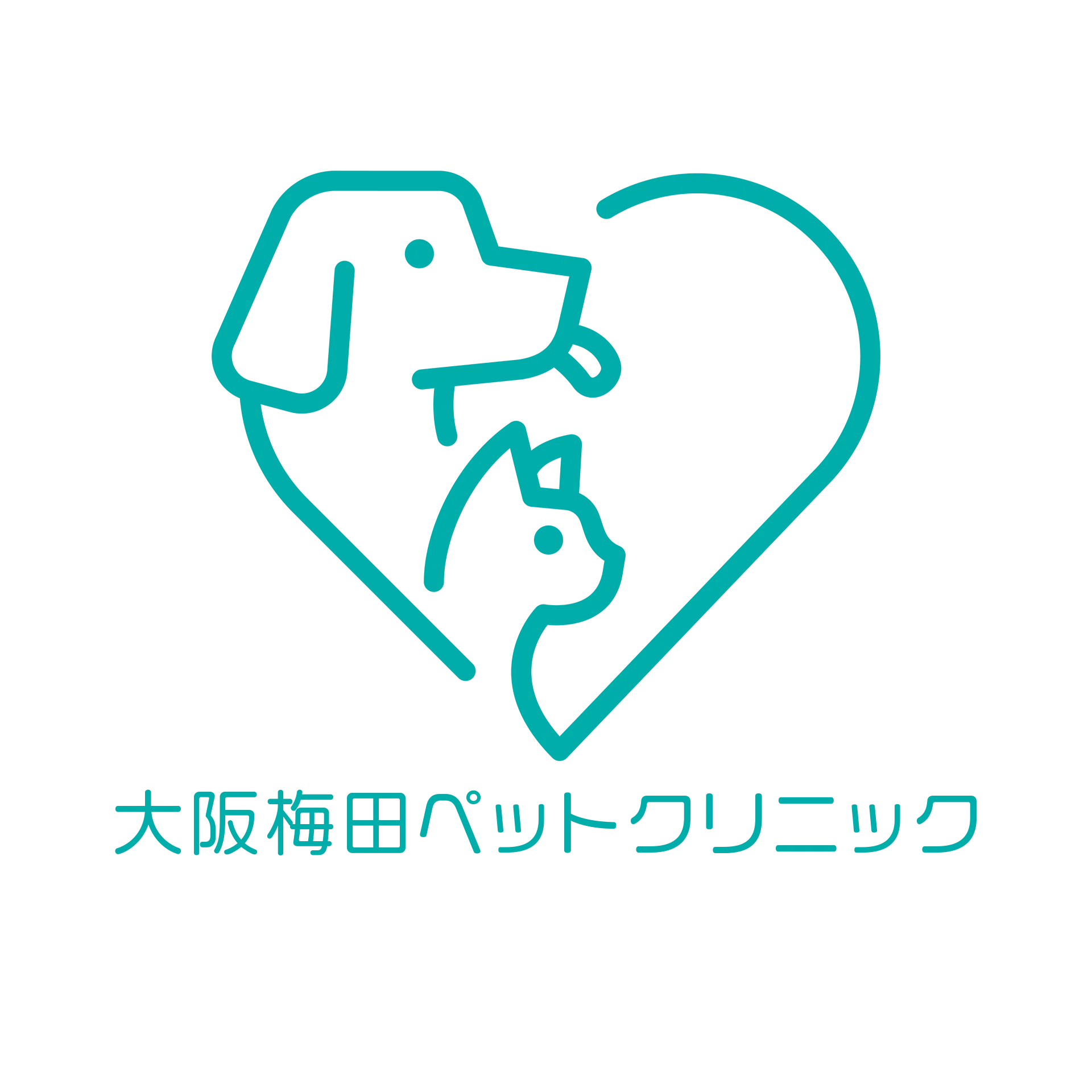 獣医師になるまでの軌跡と夢の病院への道｜同志社中学校