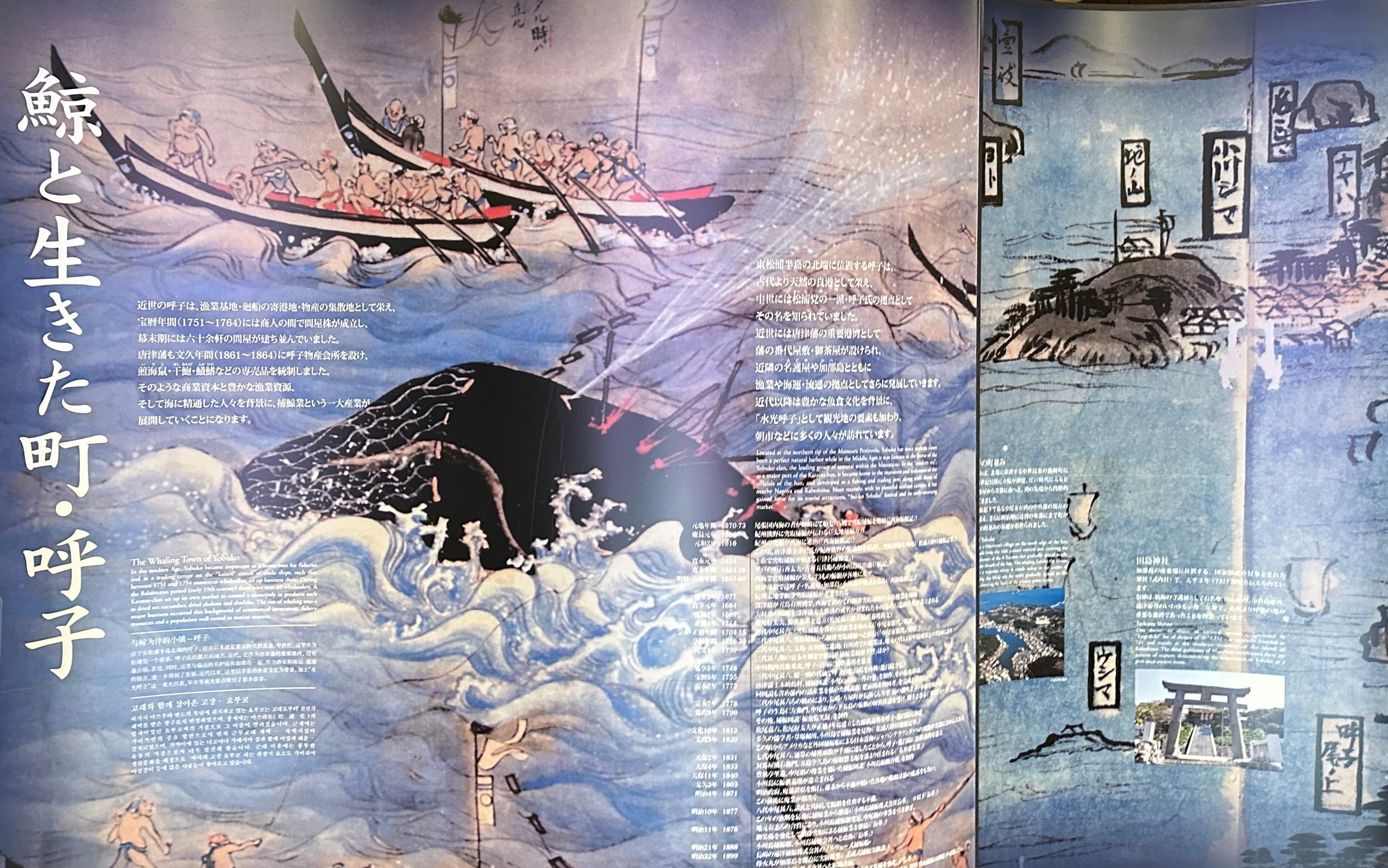 佐賀時間.jp】第2回 時を超える海の記憶：唐津・呼子の捕鯨遺産