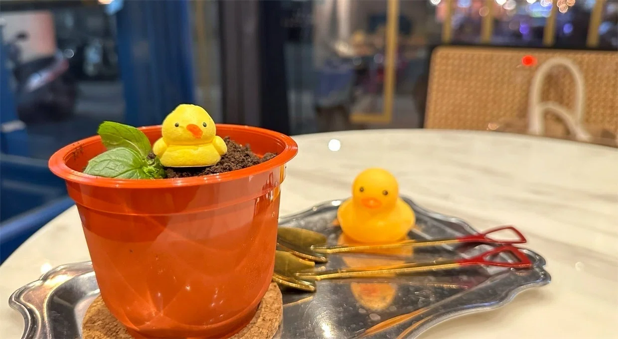 The 'Rubber Duck' Reunites with Kaohsiung: The Joy and
