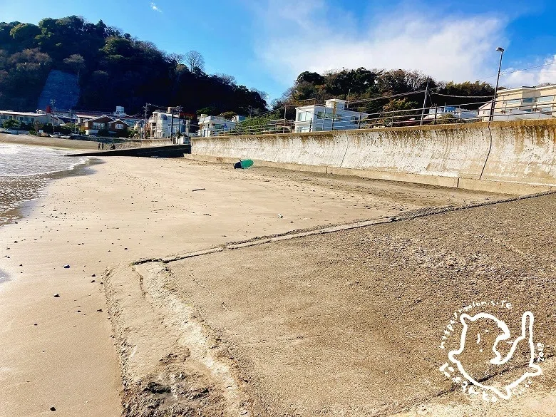 牛　歯　ビーチコーミング　鎌倉市 陶片にシーグラス、ハイガイに馬の歯の骨再び！?坂ノ下海岸で