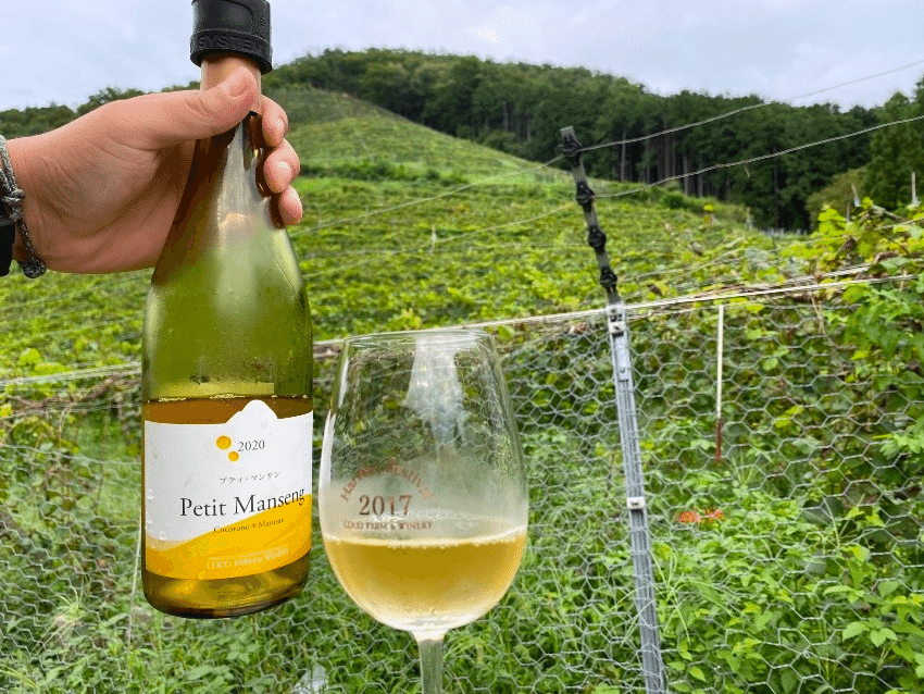 ブドウの持ち味を最大限活かす”ワイナリー 〜ココファームワイナリー