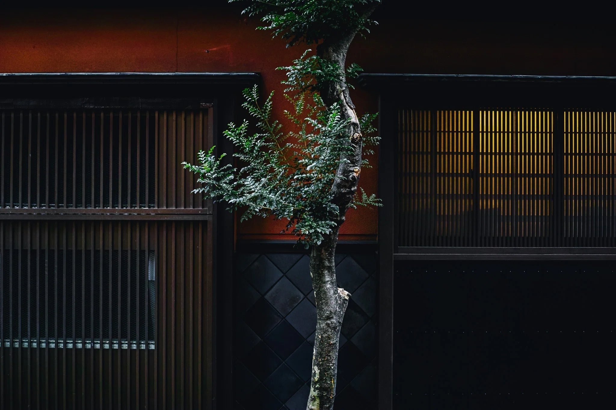 曇天と人形町の相性【写真30枚】｜Nocchi(のっち)