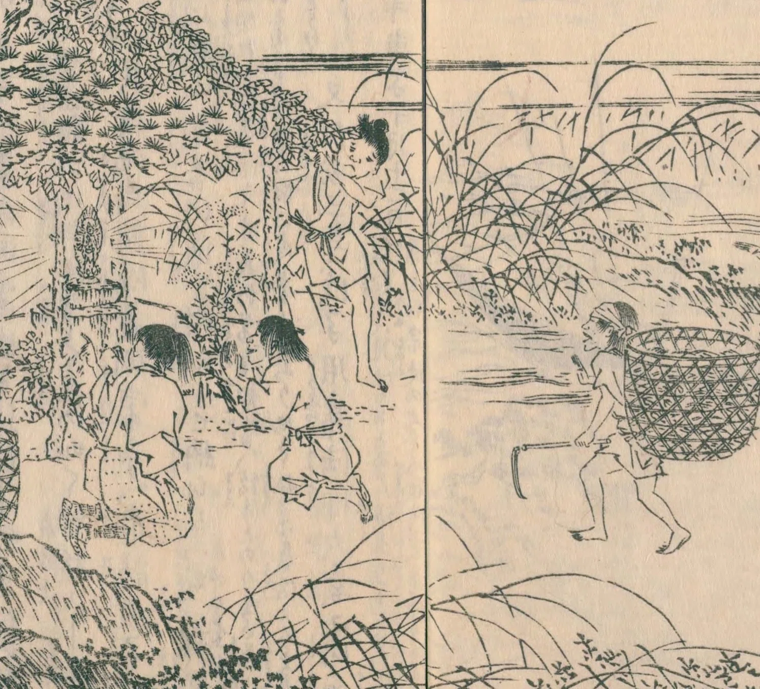 江戸の花名勝会 と 十番組（岩井粂三郎）｜mominaina