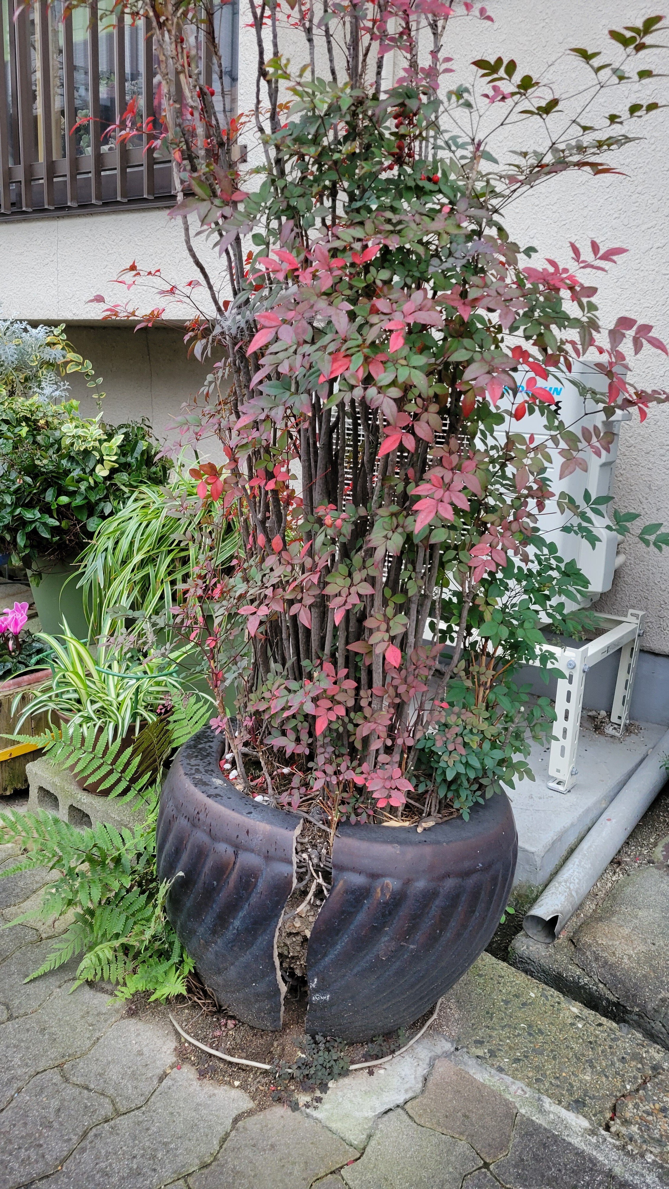 希少☆無垢材　火鉢 楽天市場】☆事前問合せ必須☆ 和製ビンテージ 関西火鉢 高級品 シマ黒