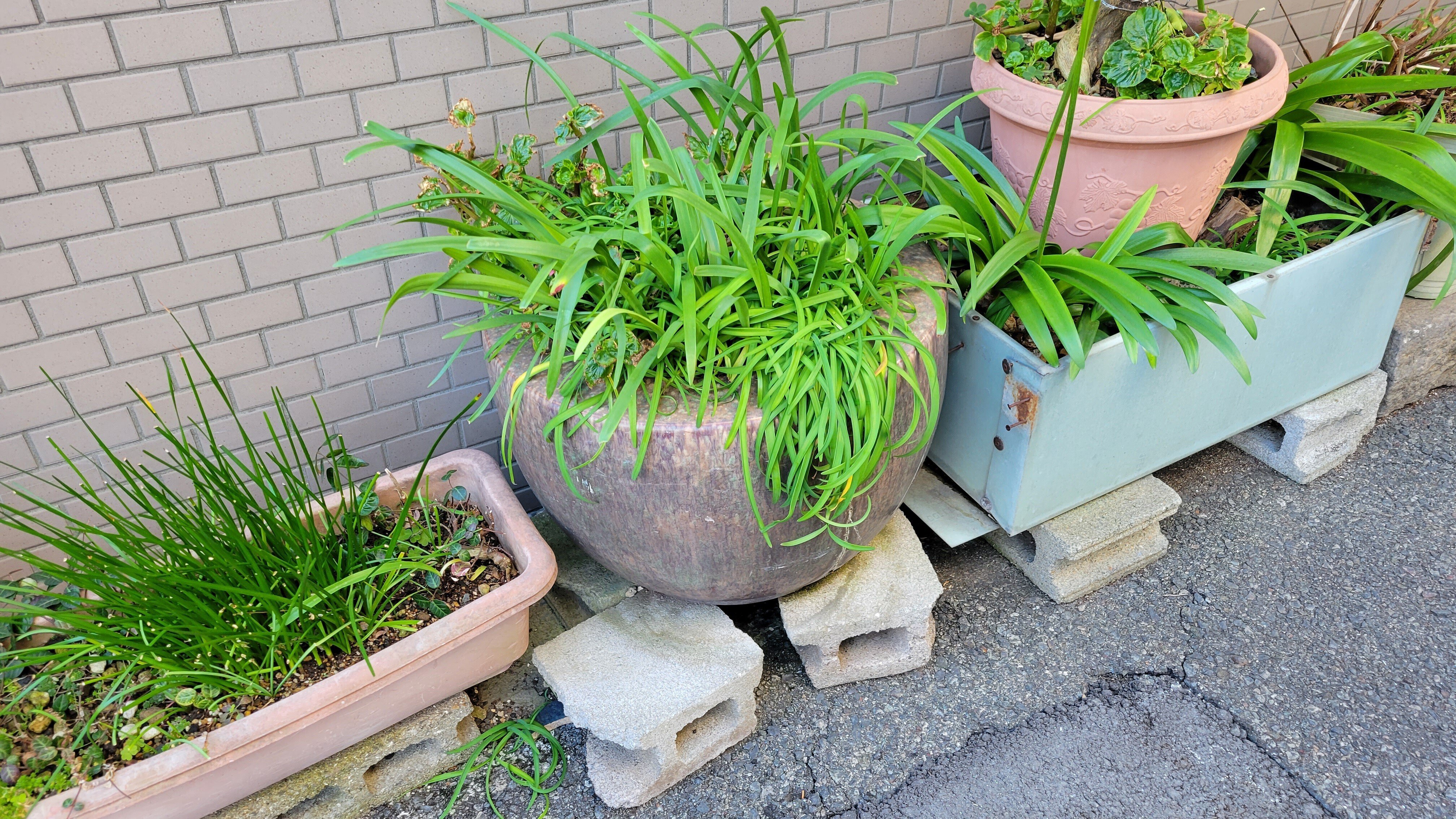 希少☆無垢材　火鉢 楽天市場】☆事前問合せ必須☆ 和製ビンテージ 関西火鉢 高級品 シマ黒