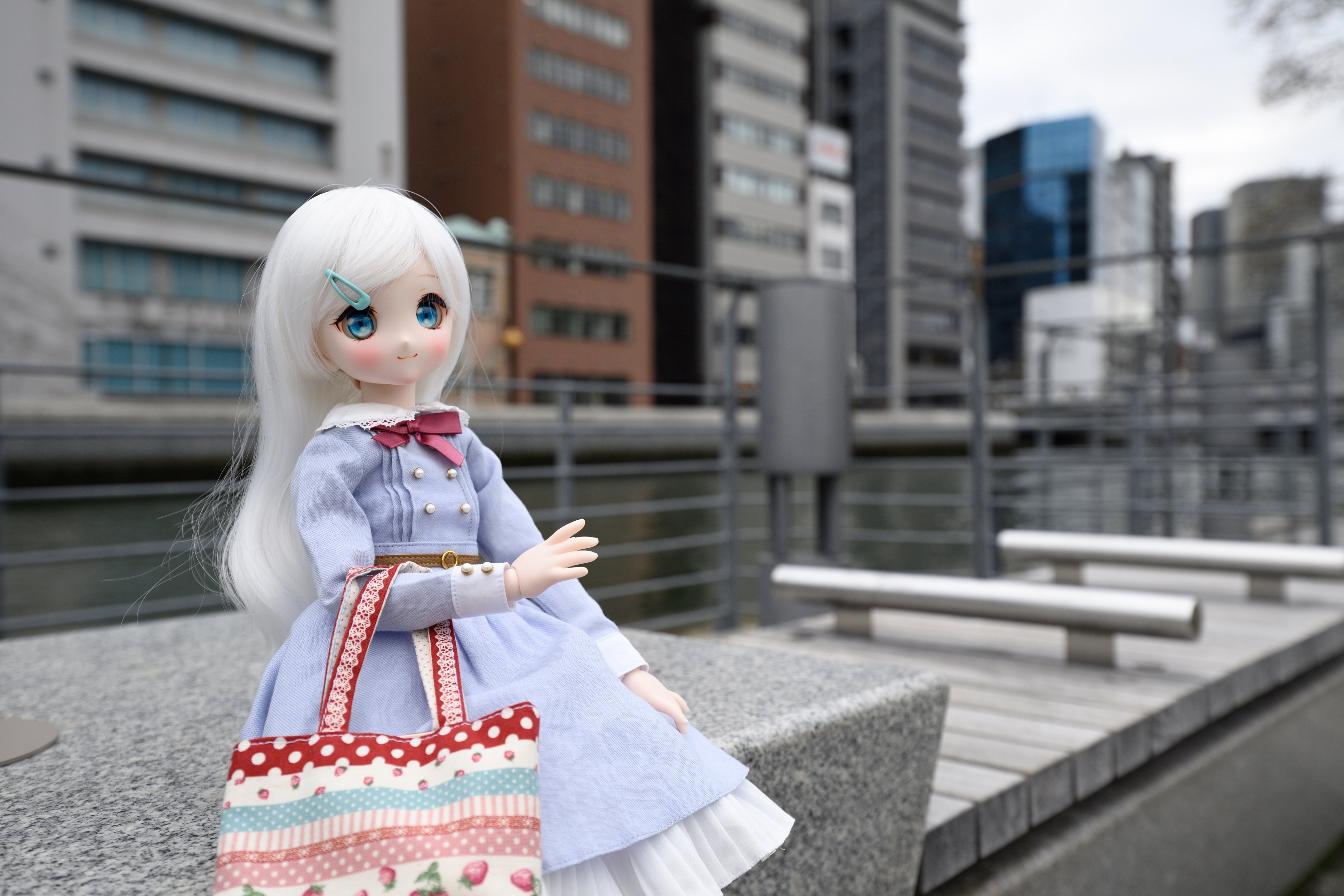 大阪でドール撮影｜鷺