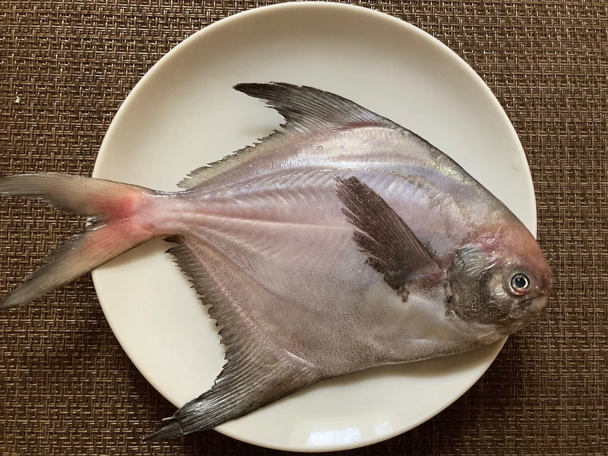 【誰でもできる自炊】ふたりっ子も磯野家の皆さんも、納得の美味しさ【マナガツオ】|【街の心理士】りらの中のひと