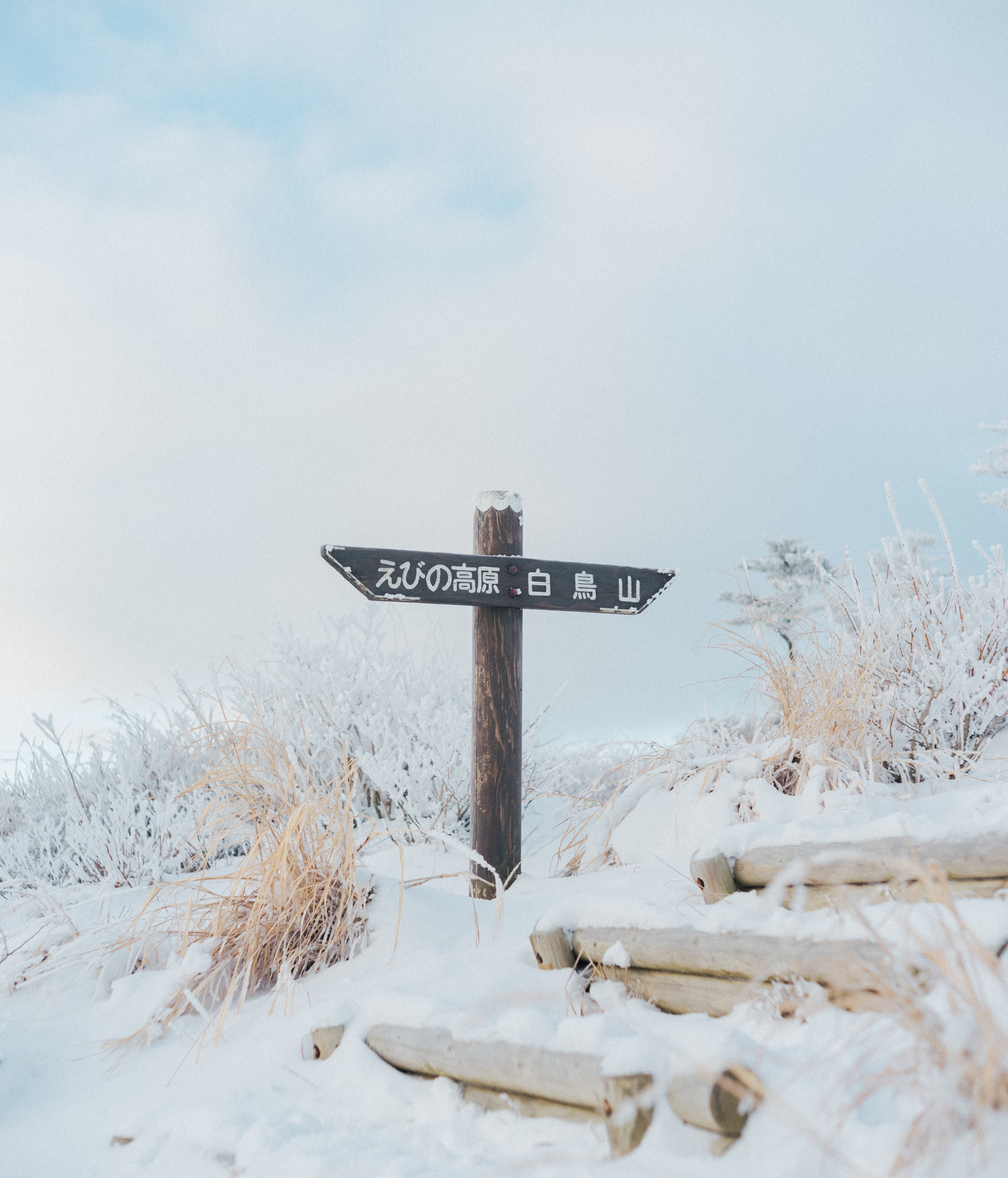 雪山の風景写真 壮大な #大雪山旭岳 と ボーイング767のコラボレーション
