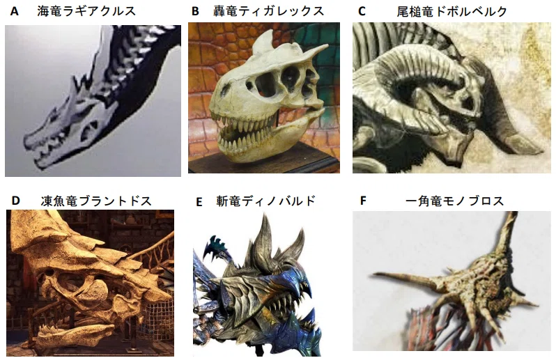 頭蓋骨 モンスター ワニ 骨格 ワニ頭骨 科学サークル大黒屋