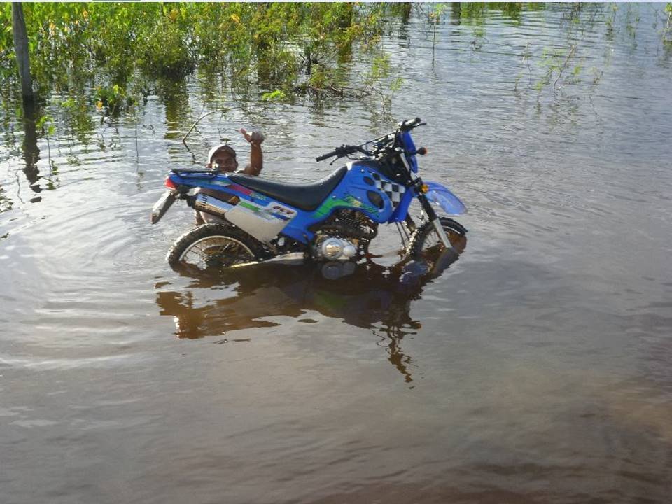 ブラジル 雨季『パンタナール』4｜Tony1200