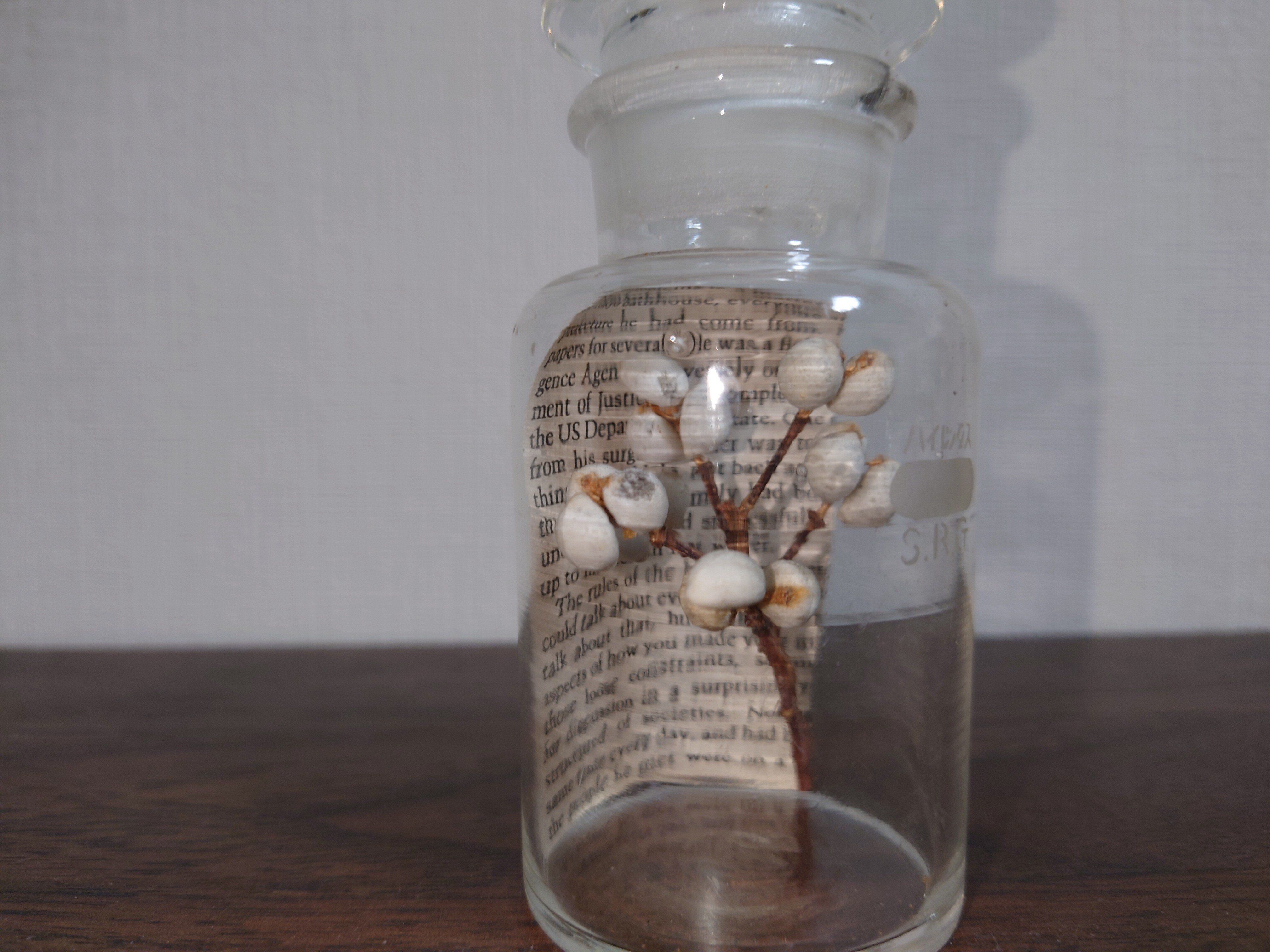 京都散策】平安蚤の市で「付加価値」は大切だと再認識した。｜Arie