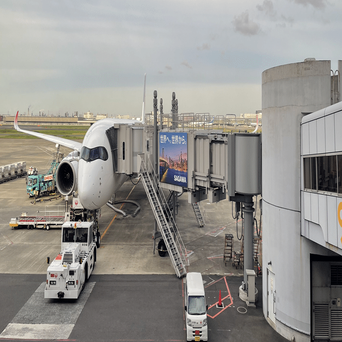 🏝️ 沖縄県：西表島】ショートステイでも手つかずの自然の中にいる