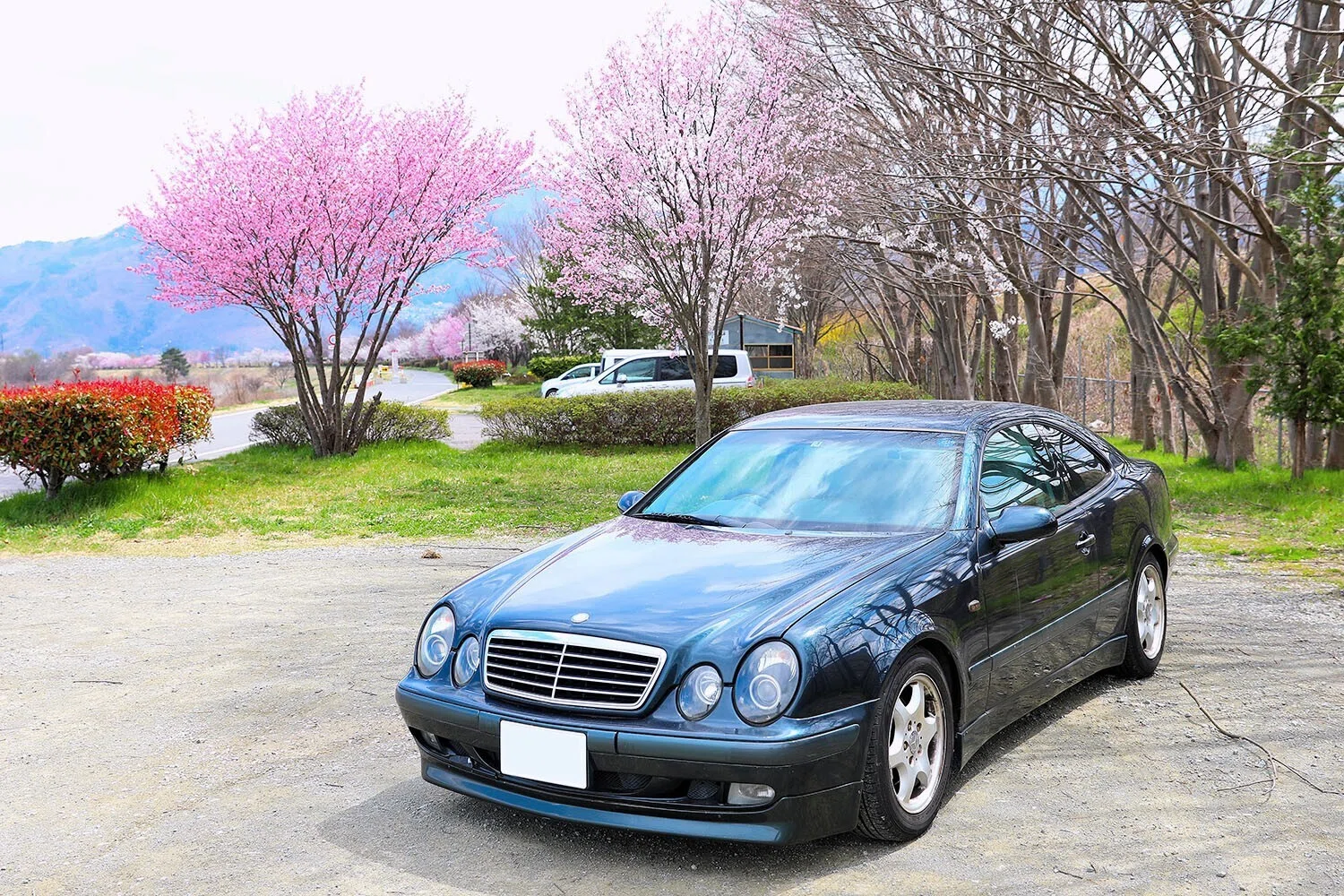 35) メルセデスベンツ CLK200（1999年）｜シュワイPのブログ
