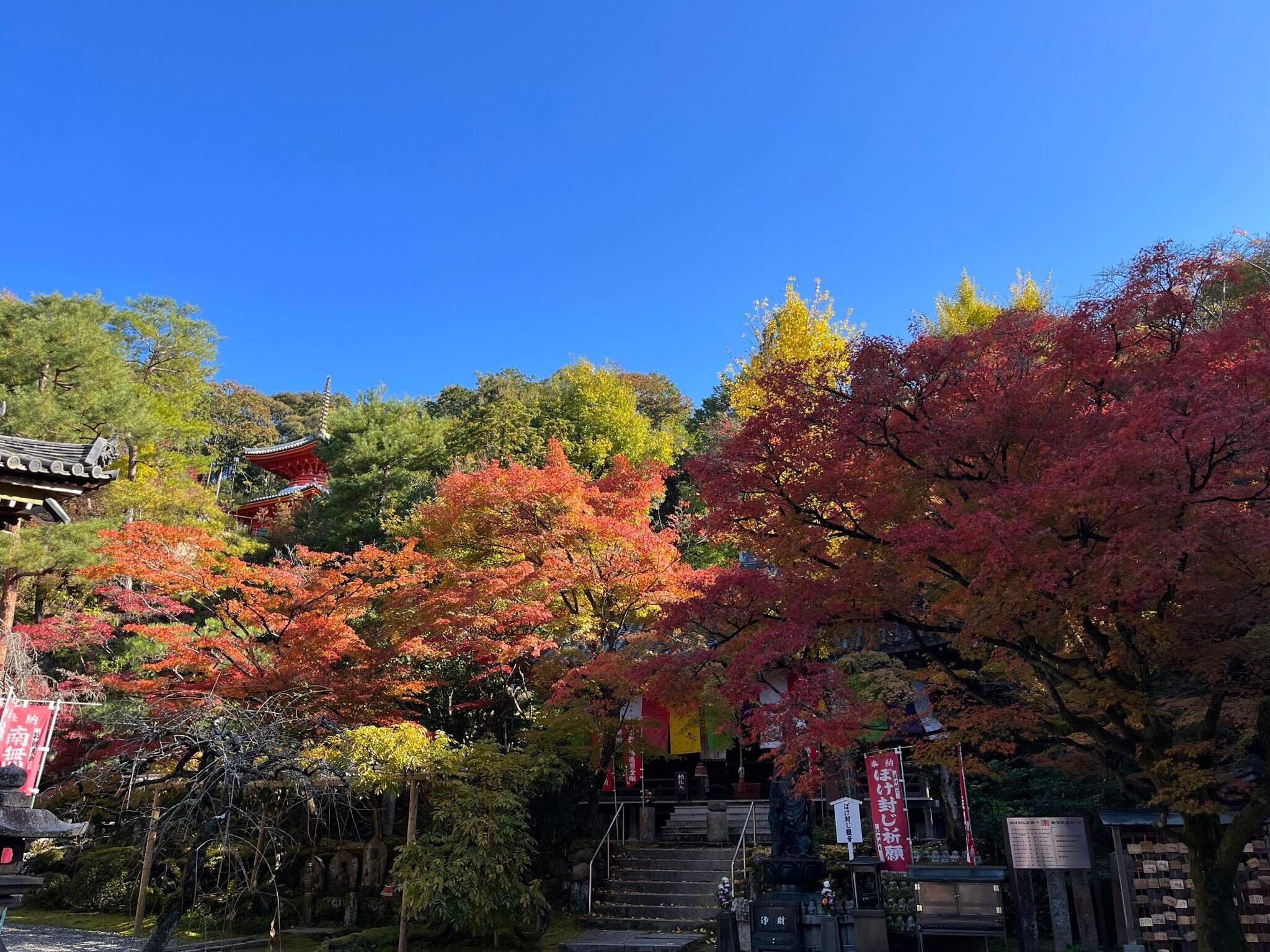 京都観光】泉涌寺｜Akiko