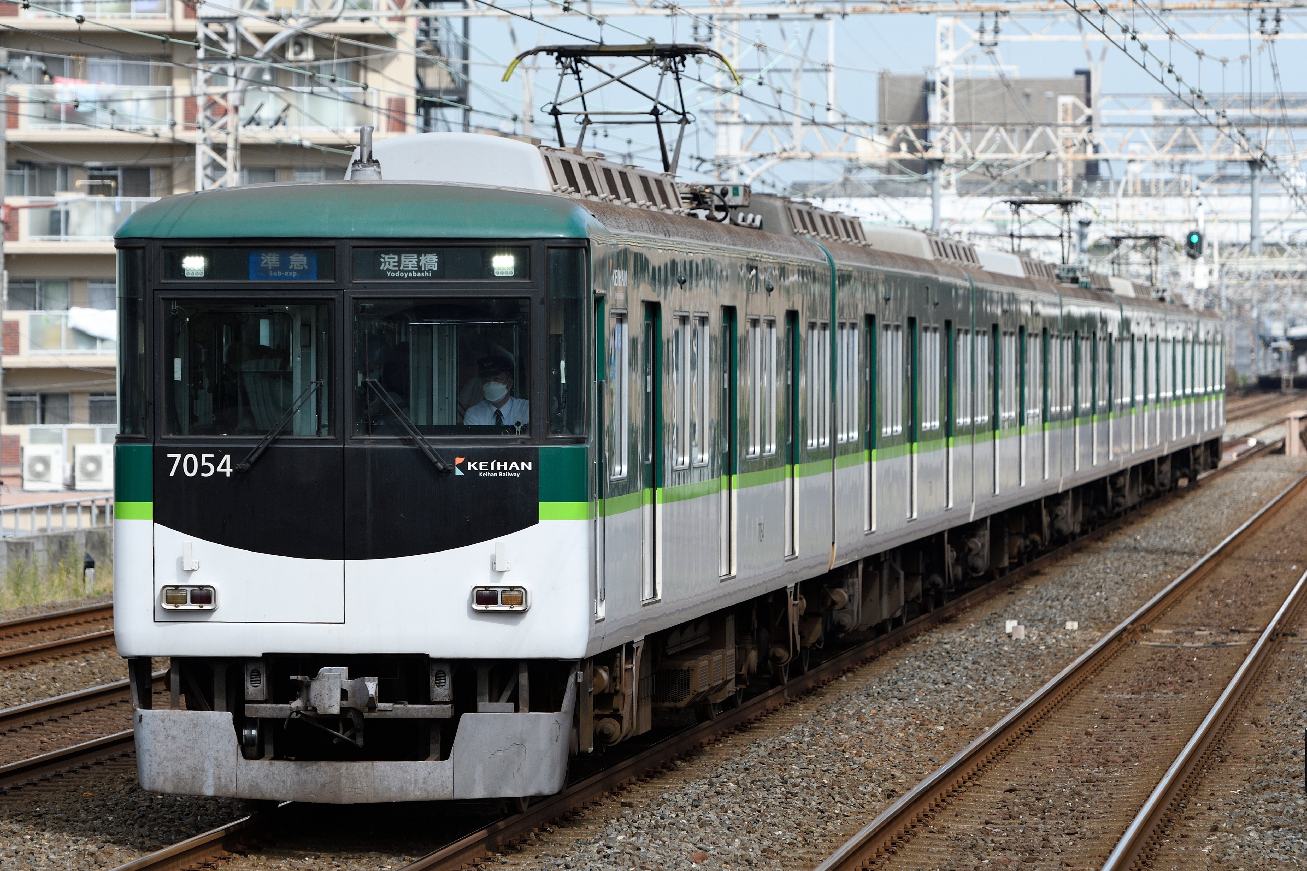 レンズレビュー】AF-S NIKKOR 70-200mm F2.8G ED VR II｜鷺