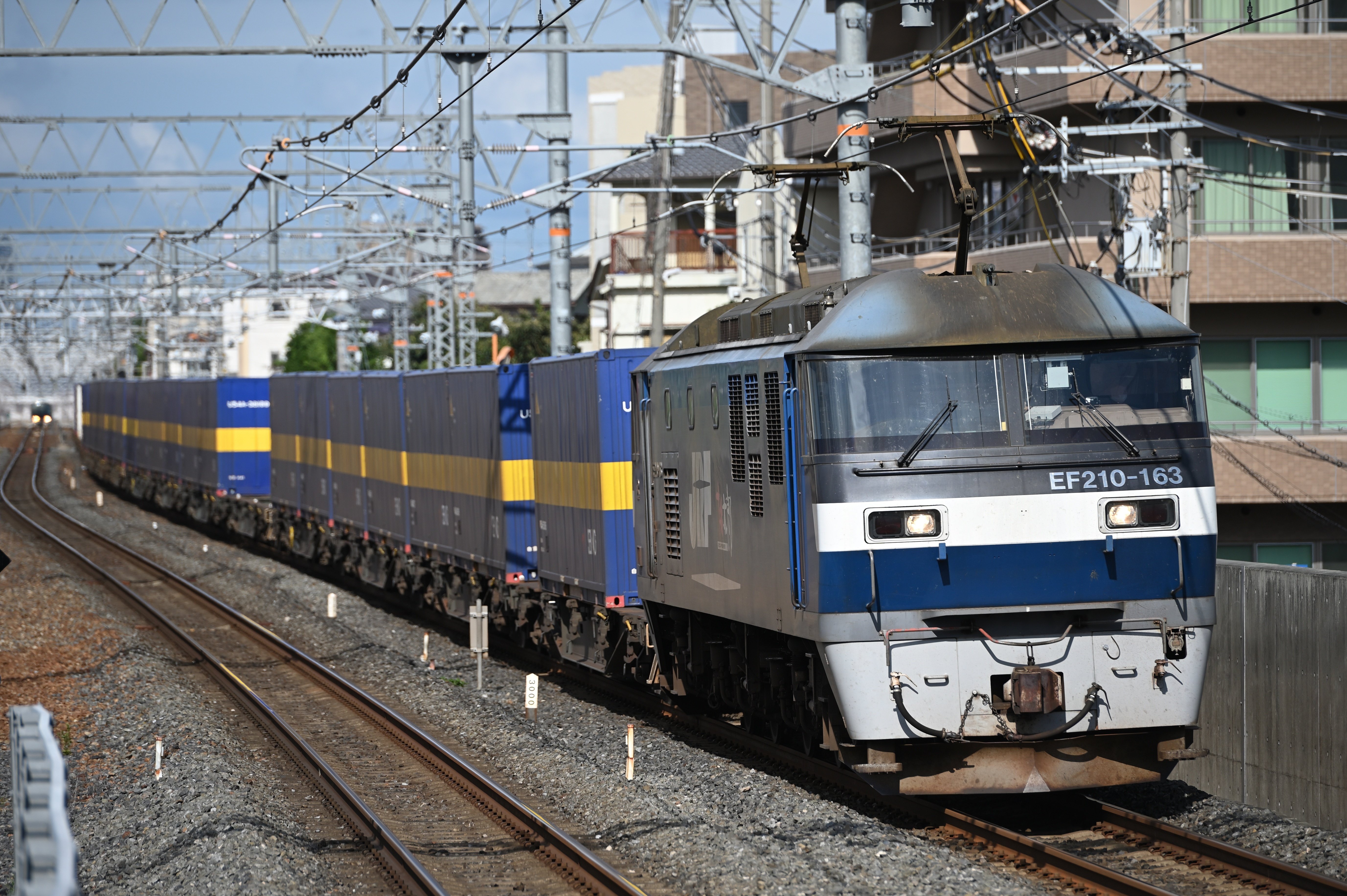 レンズレビュー】AF-S NIKKOR 70-200mm F2.8G ED VR II｜鷺