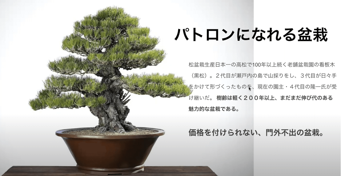 香川で讃岐うどんと高松盆栽を堪能 ～高松盆栽編～｜駒瀬元洋 | 経営者