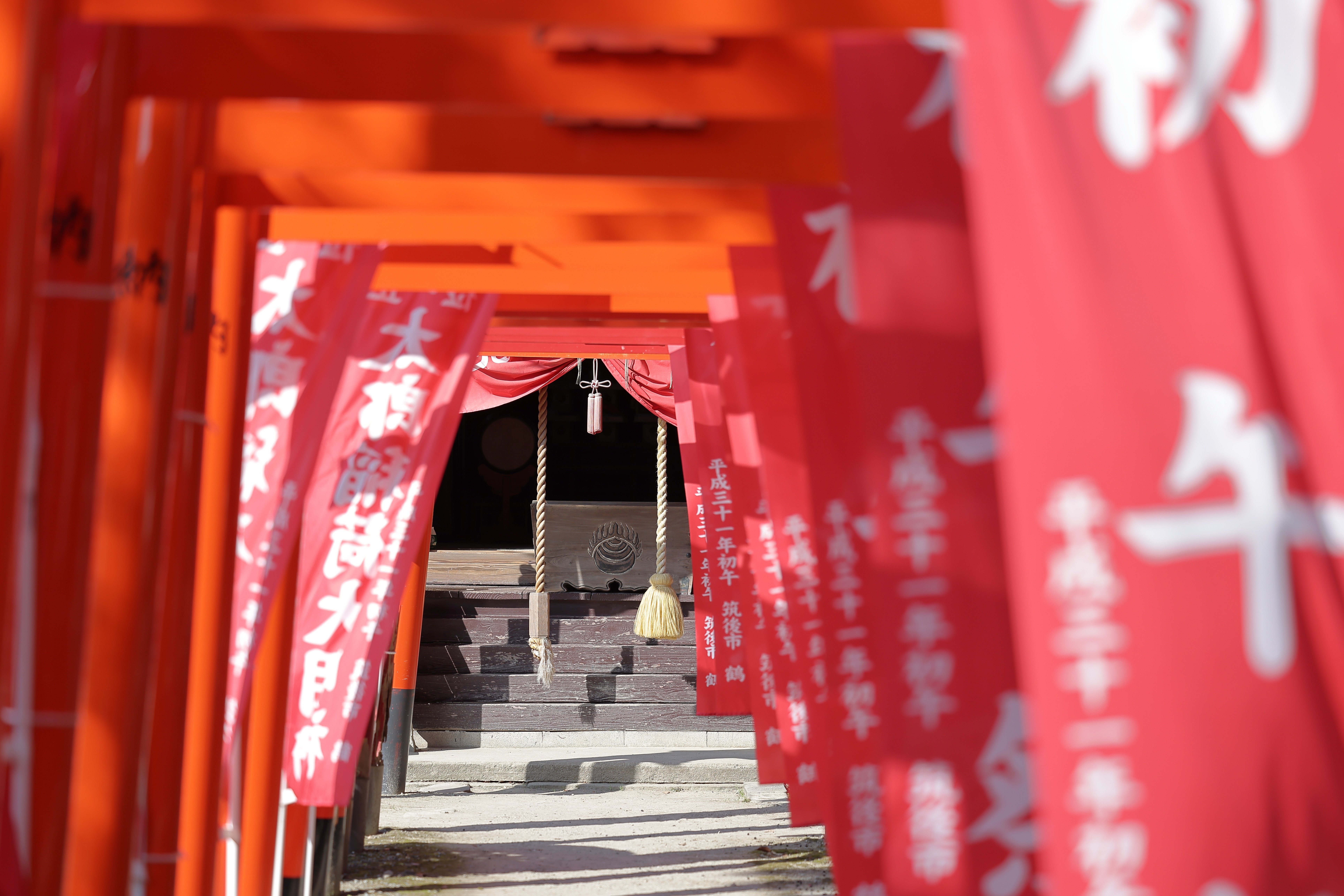 江戸時代に大ブームを起こした！「太郎稲荷」が主役になる日