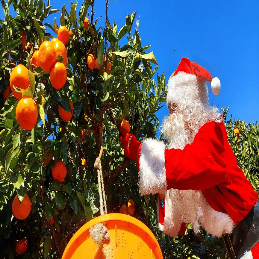 ぼくがサンタになったきっかけ｜tomohiro nagase