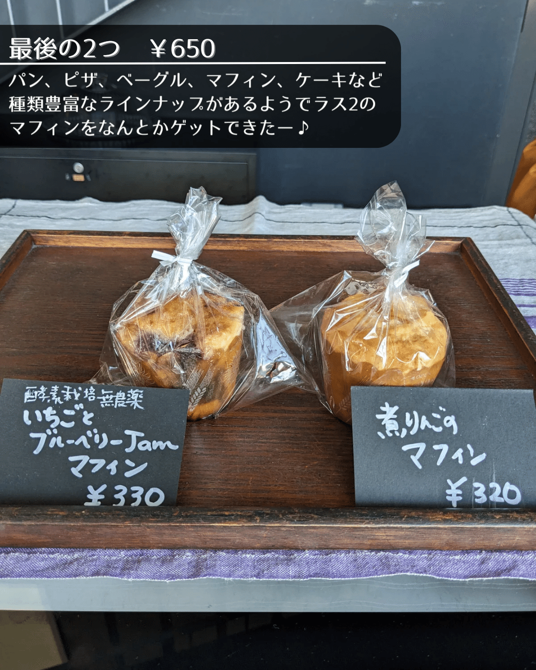 レインボーに輝く牛深ハイヤ大橋の絶景