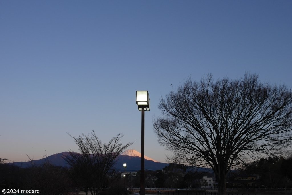 Street lamps and small red fuji modarc