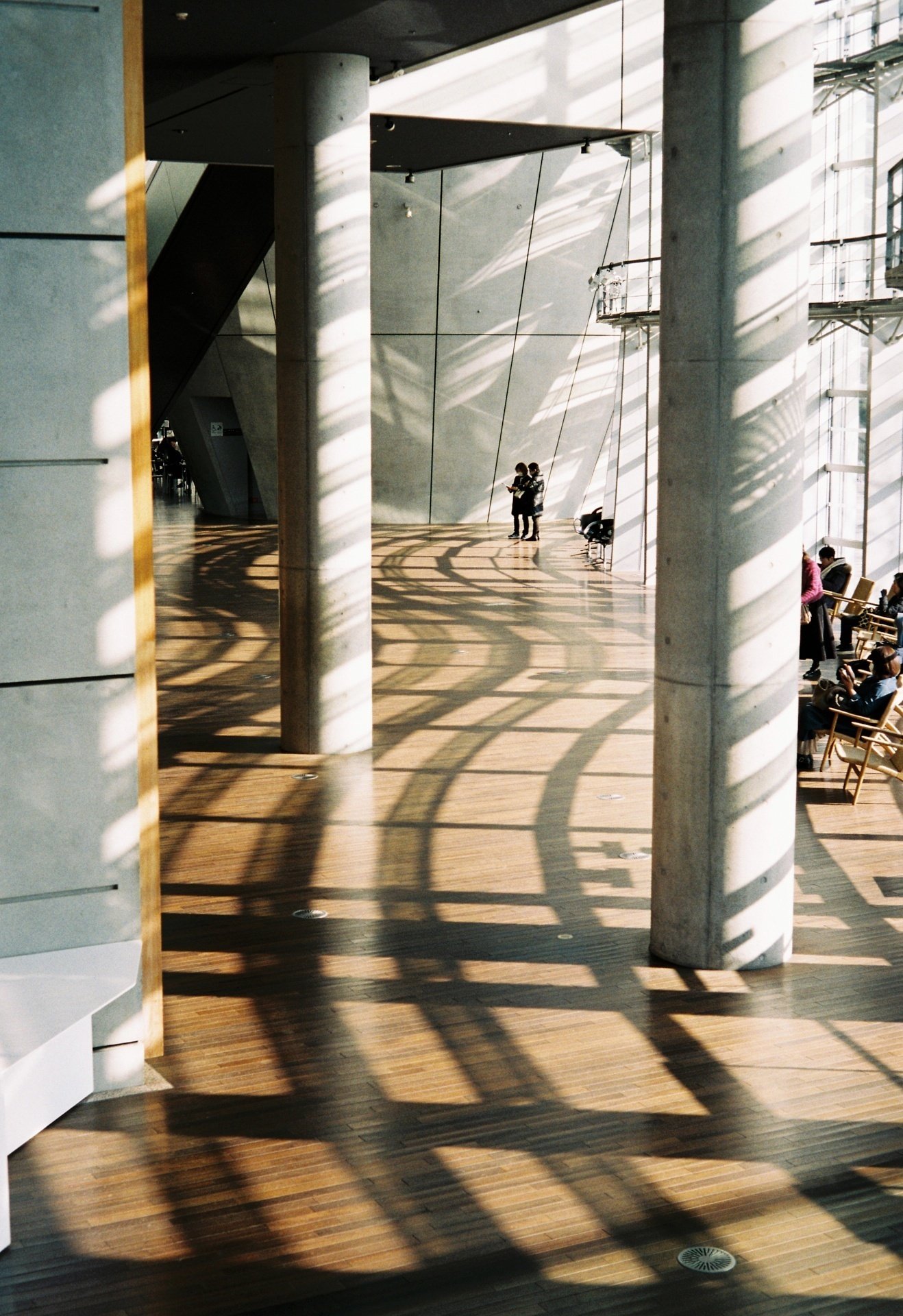 駄文と作例）FUJICOLOR 100の雑感｜きろきろ