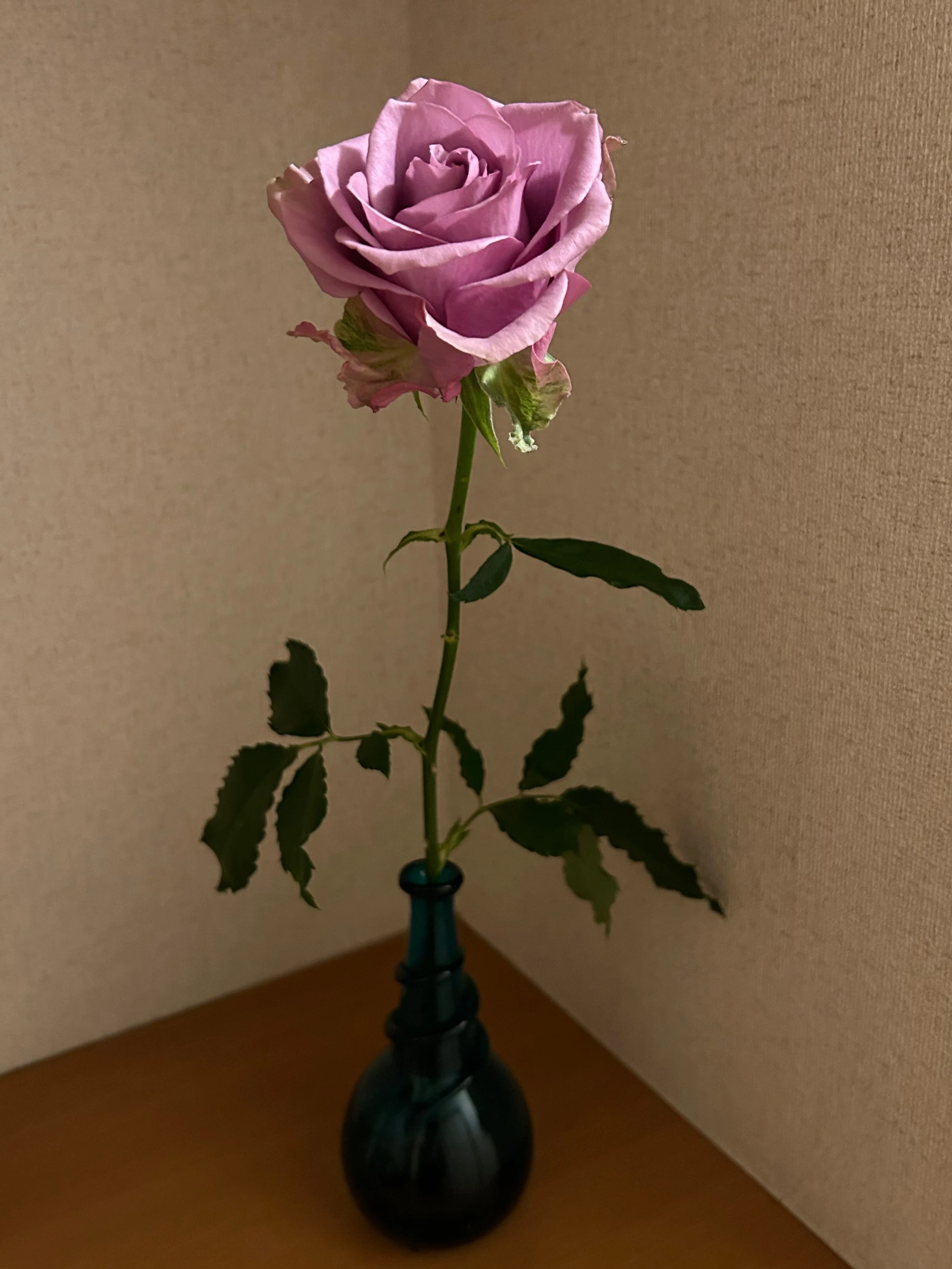 紫のバラ 〜ナイチンゲール〜｜つむぎ