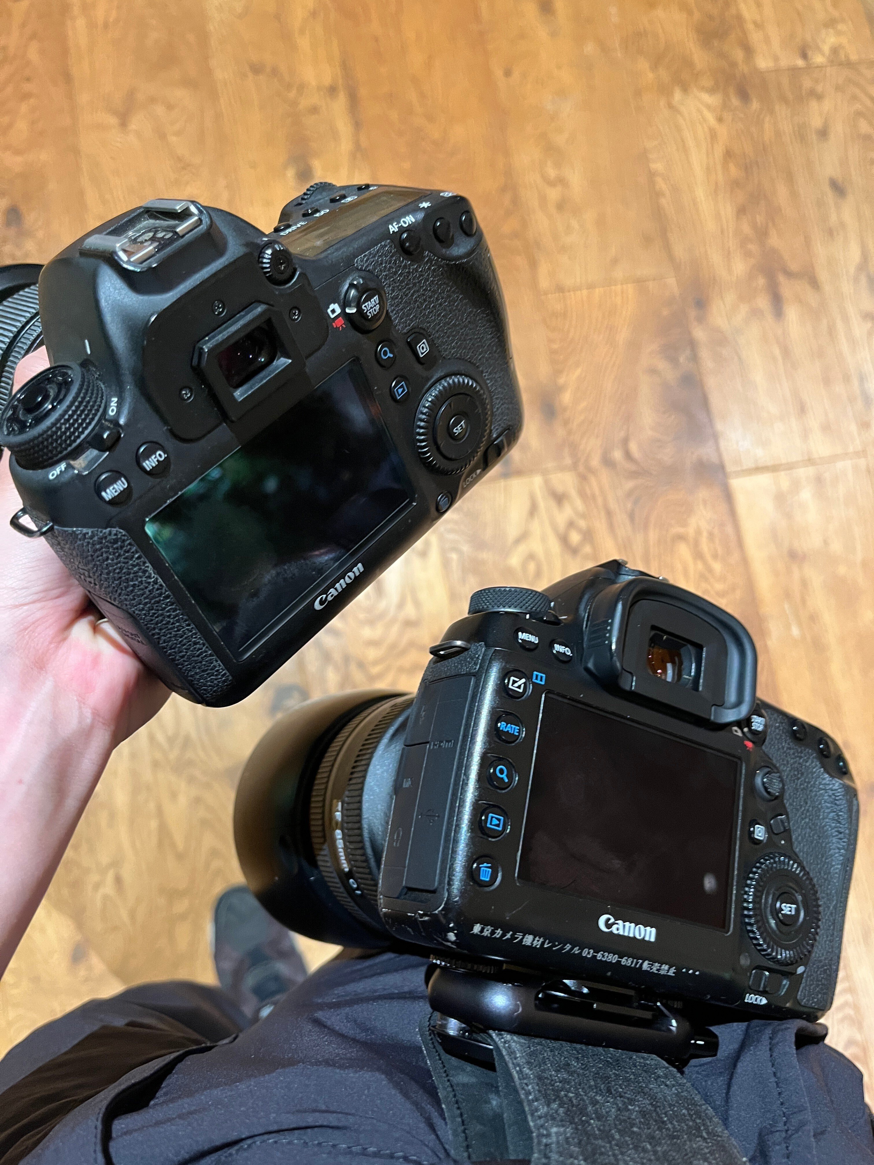 CANON 6Dがちょうどよくておすすめな話|鮎 CANON 6Dがちょうどよくておすすめな話|鮎