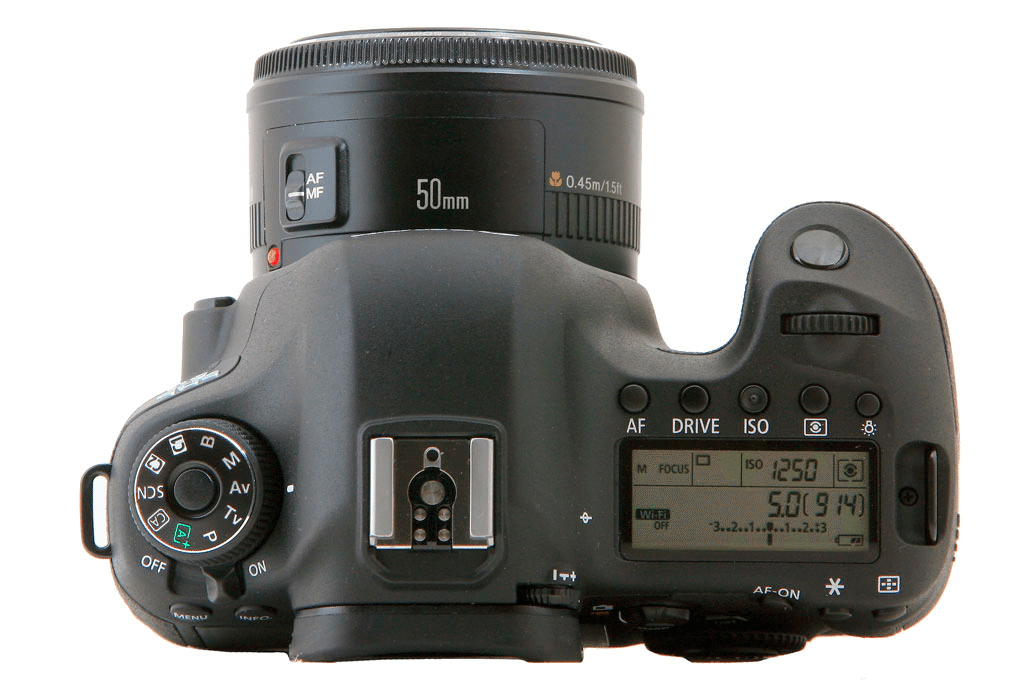 CANON 6Dがちょうどよくておすすめな話|鮎 CANON 6Dがちょうどよくておすすめな話|鮎