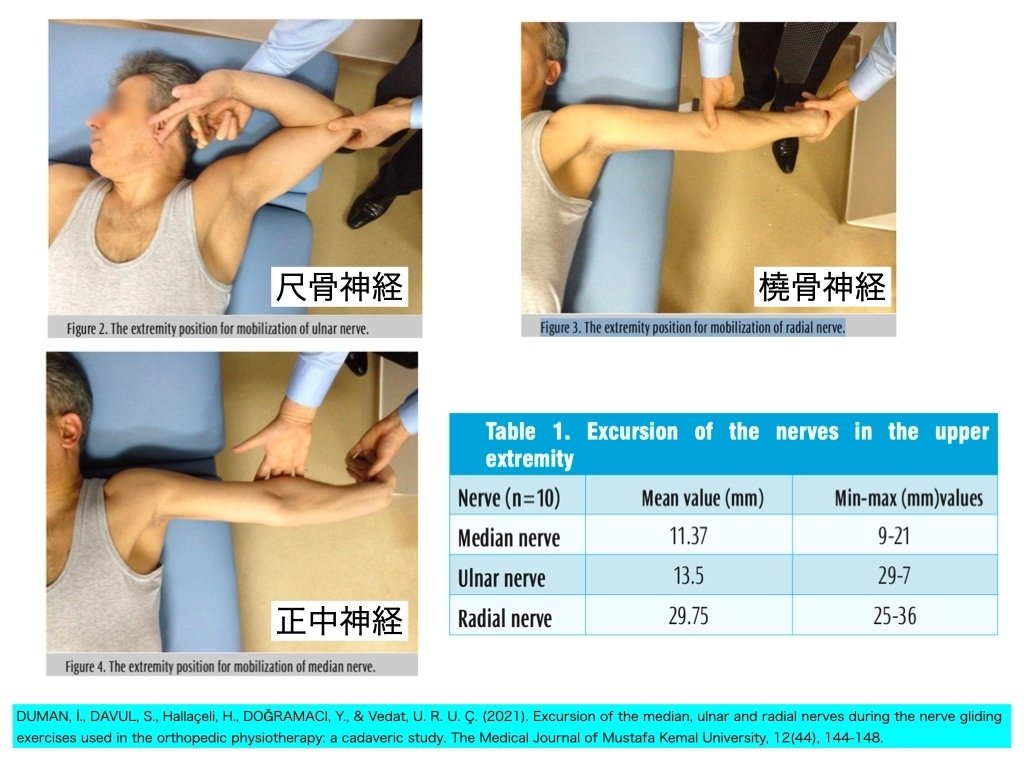 神経系モビライゼーション:どのくらい滑る？」｜Daikumi＠理学療法士