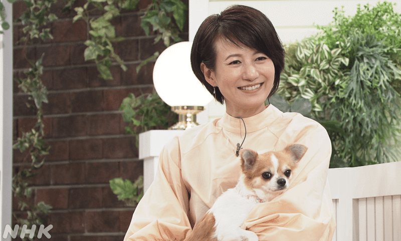 番組の画面。小型犬を抱き微笑む馬場さん。