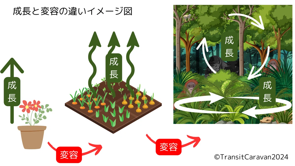 「成長」と「変容」の違いとは?イメージ図にしてみた|いっしー/けいちょん