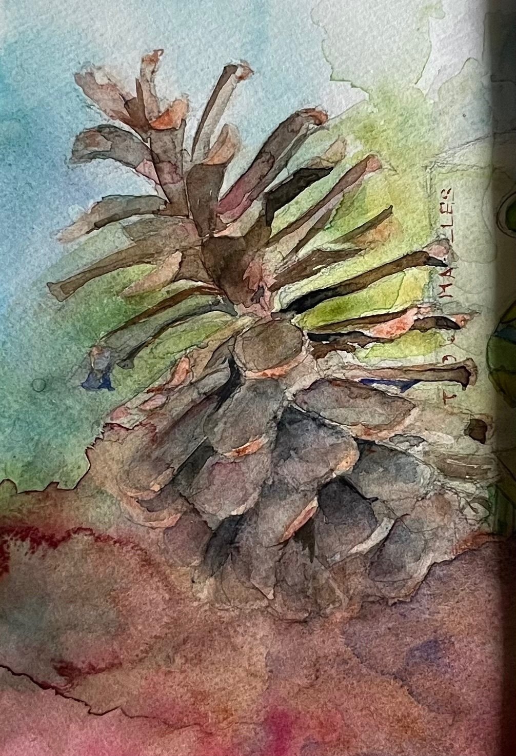 松ぼっくりを描く｜水沼