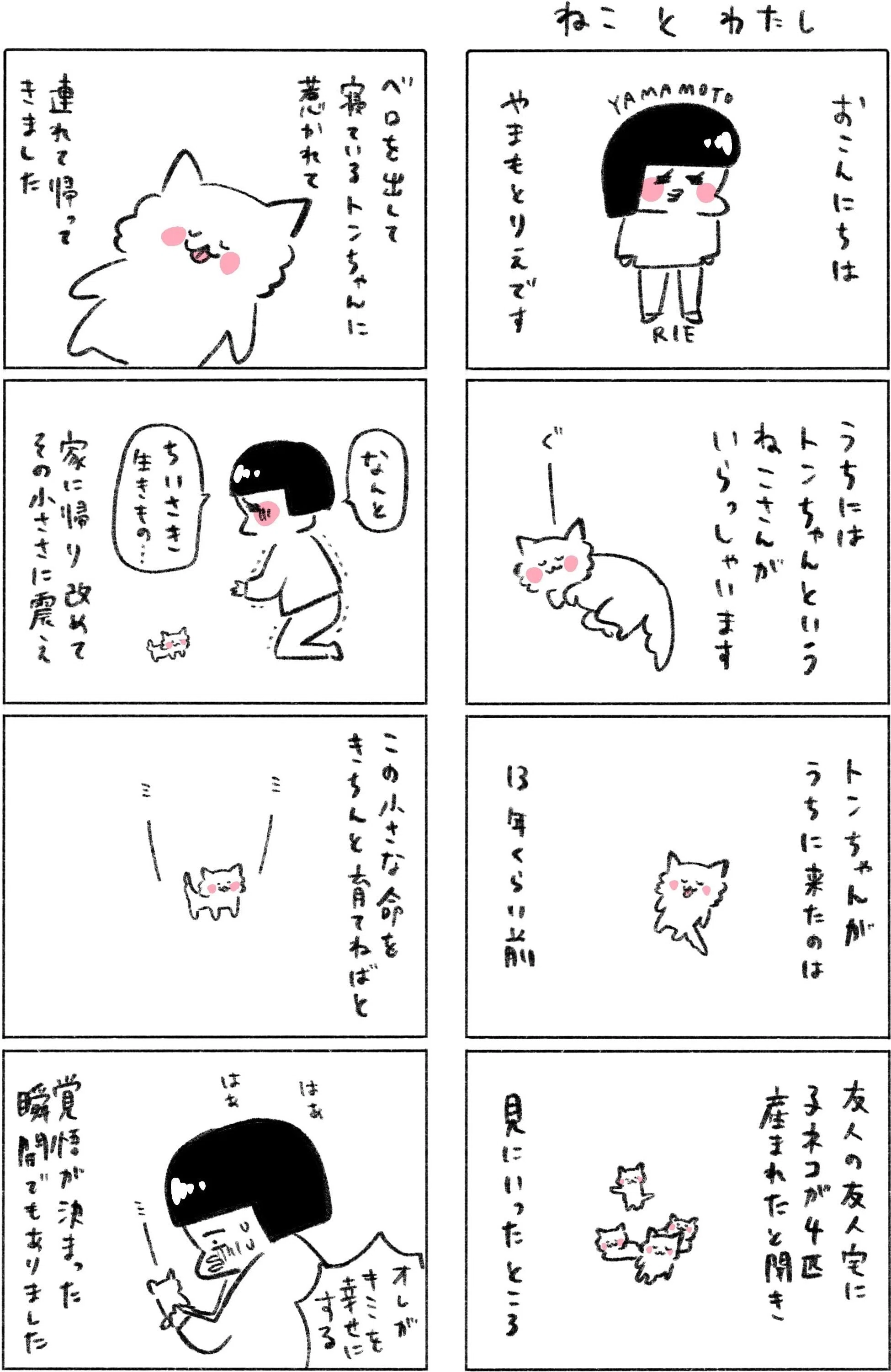 志村観行　朝どくろと夜猫は愛を語る図 盃 夜と猫｜求龍堂