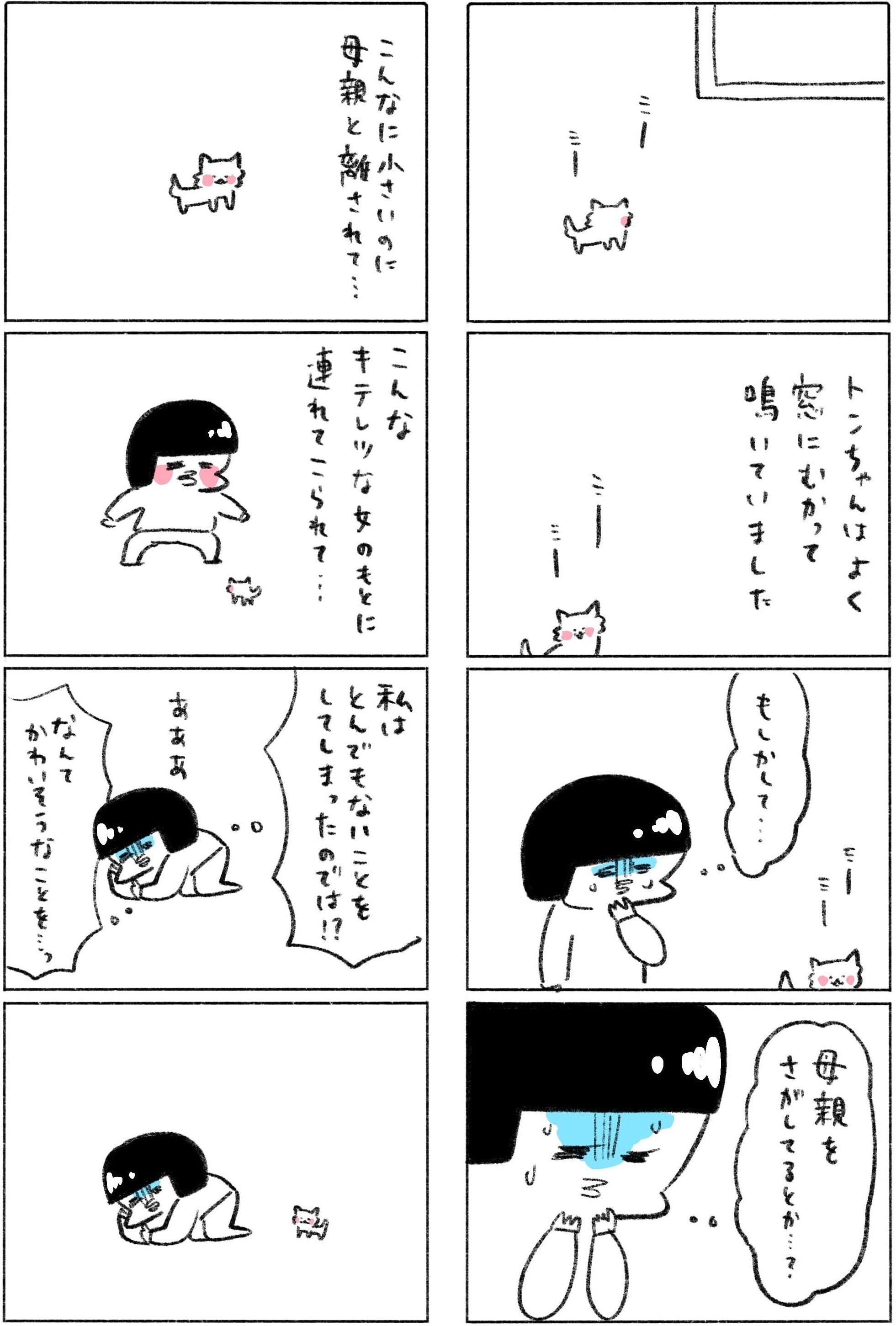 2月22日は猫の日！ 猫と本をこよなく愛するひとに「ホーム社猫祭 2024