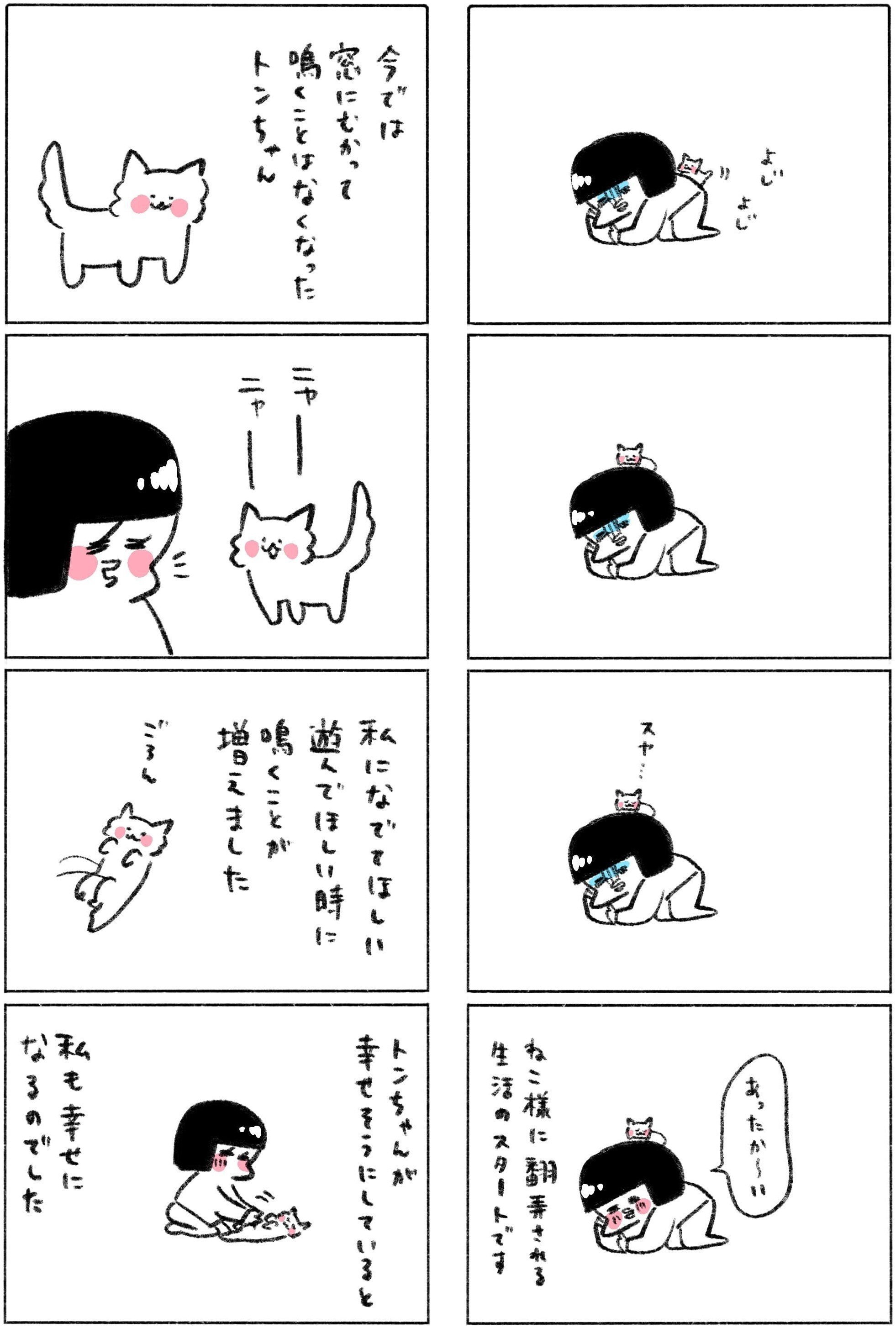 2月22日は猫の日！ 猫と本をこよなく愛するひとに「ホーム社猫祭 2024