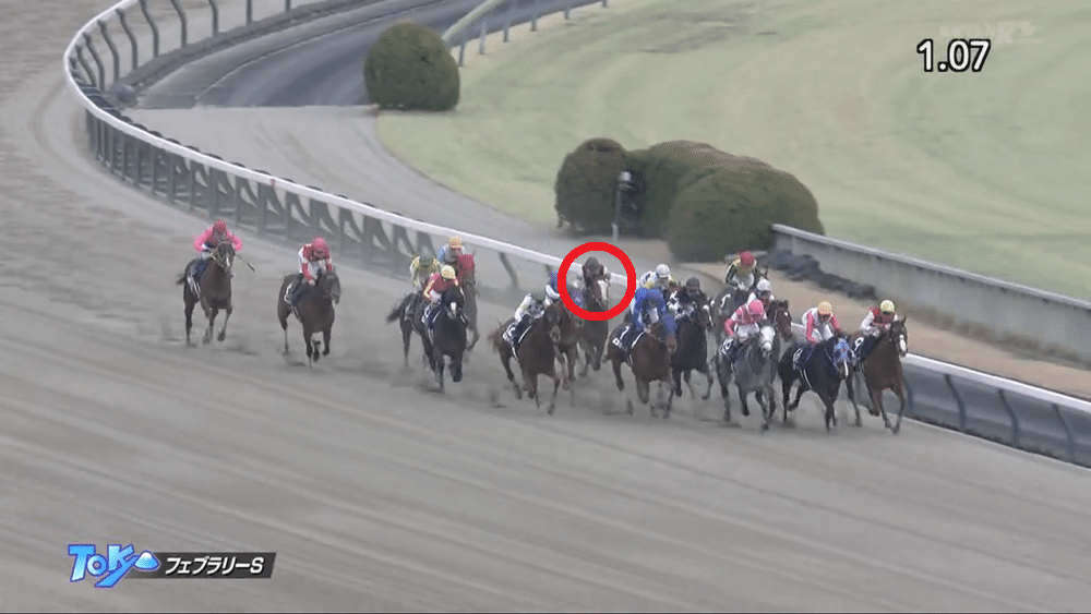 2024フェブラリーステークスポスター｜日本サイン競馬会
