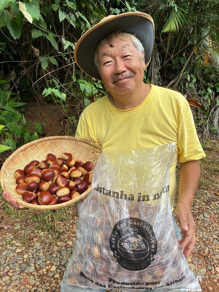 栗の収穫」 栗御殿への道 第9回 田中規子 月刊ピンドラーマ2024年2月号